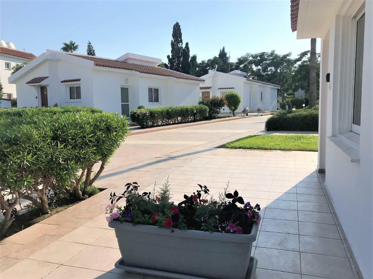 Fig Tree Z Holiday Resort Paralímni Eksteriør bilde